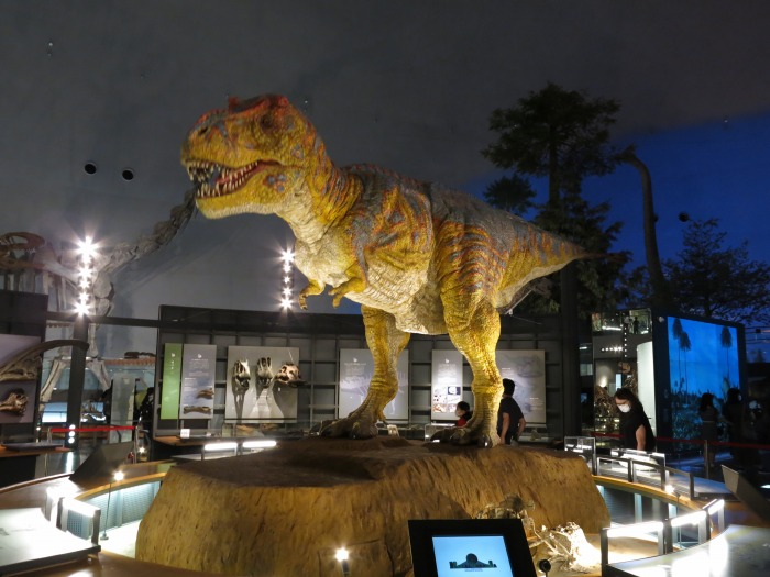 SSH 高校 2020年度 福井県立恐竜博物館研修