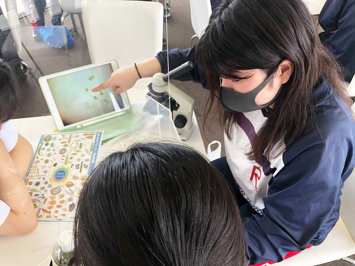 高2 琵琶湖の水質調査体験を実施しました