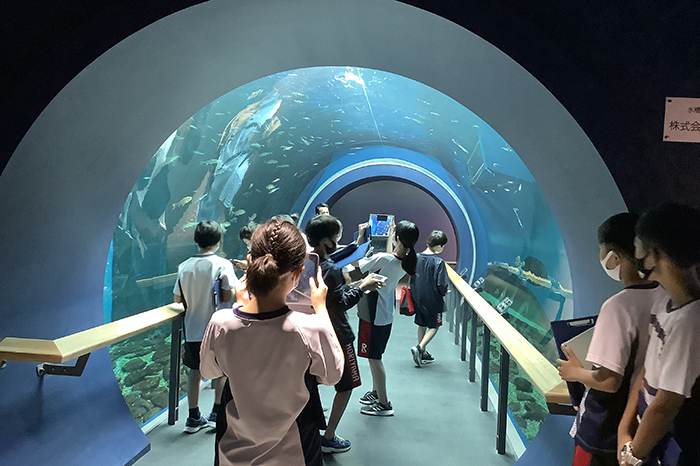 中1 琵琶湖学習 琵琶湖博物館にて実施しました