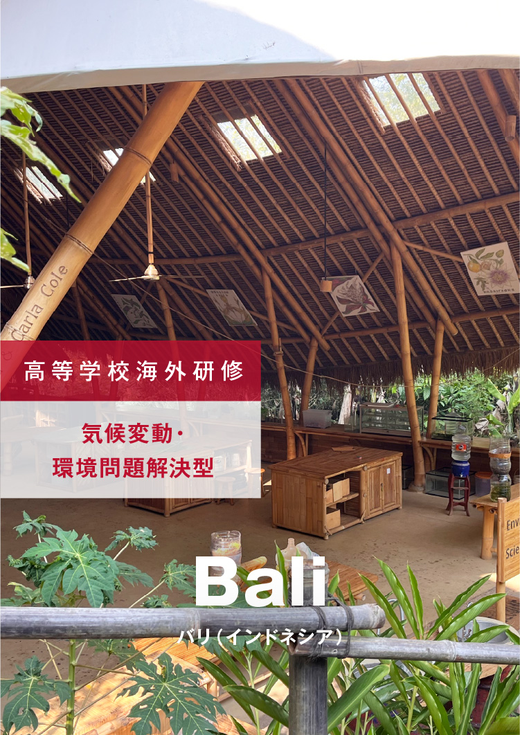 【中学校海外研修】3年間学んだ英語を試そう! 3ヵ国6コースから選ぶ海外研修