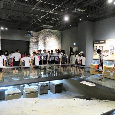 高校 2019年度 福井県恐竜博物館研修