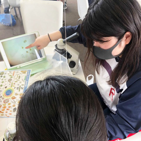 高2 琵琶湖の水質調査体験を実施しました