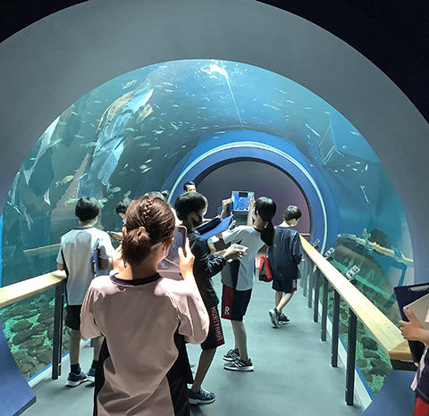 中1 琵琶湖学習 琵琶湖博物館にて実施しました
