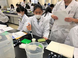 中２ 後期総合学習② 3つのチームが本格始動