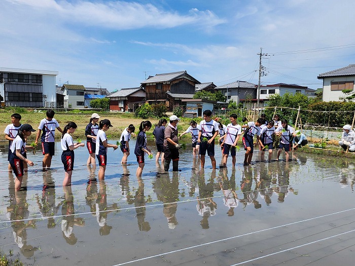 高2 日本史探究 下之郷史跡で弥生時代の稲作を実証実験をしました