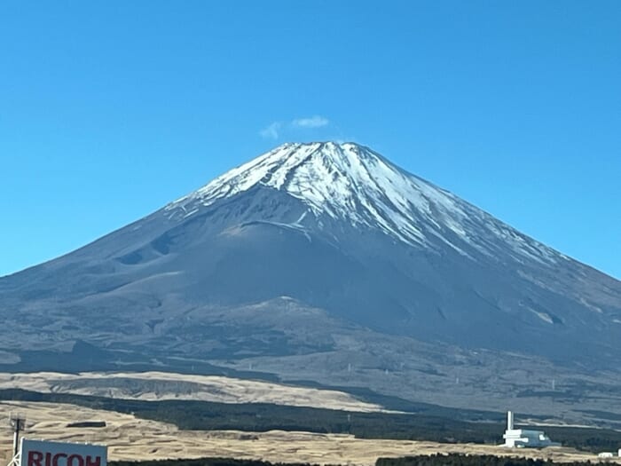 戦争・暴力の反対語は何か