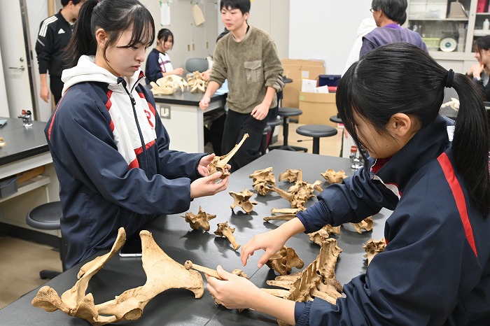 高校 天王寺動物園と大阪市立自然史博物館にて研修を実施しました