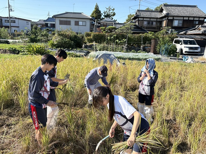高2 弥生時代の稲作体験をしました